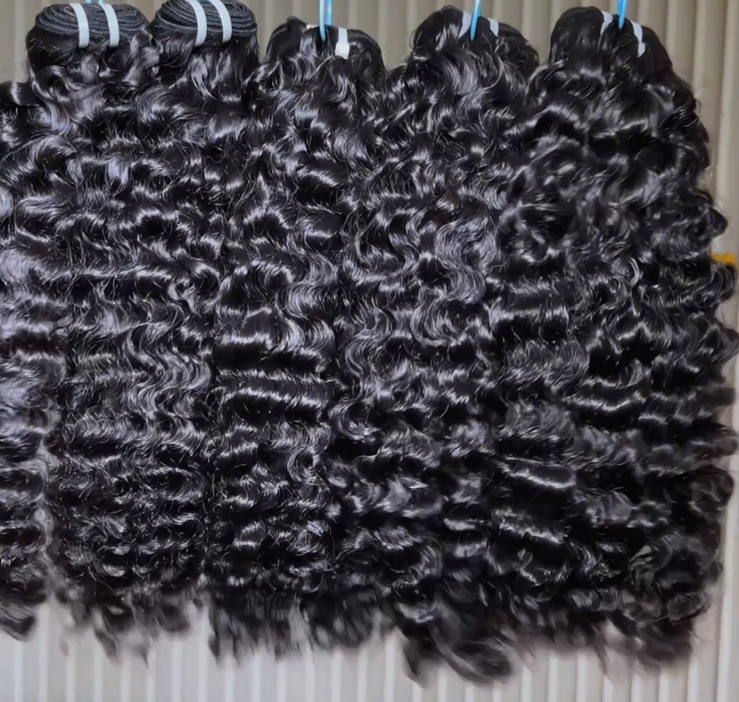 Burmese Curly